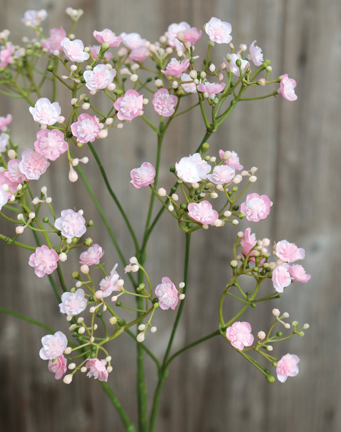 3088 508 a3 Искусственная гипсофила, 70 см, розово-зеленая H-andreas  - Вид №3