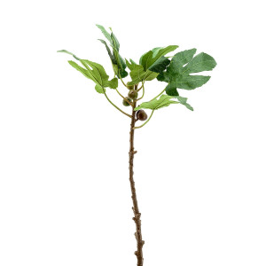 250027-70 ABHIKA ФИЛИАЛ ФИЖ GREEN