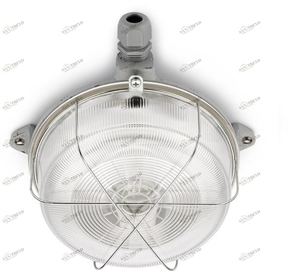 THPG Уличный потолочный светильник  100502 