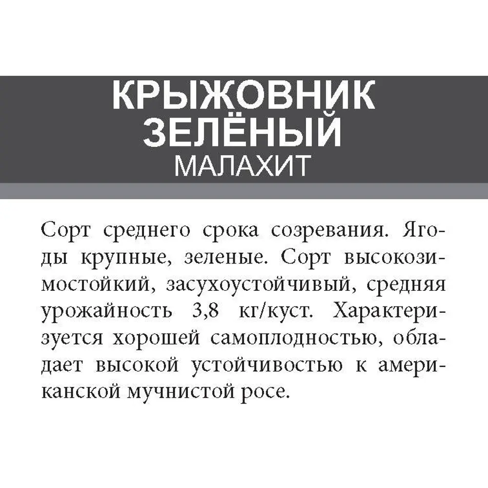Крыжовник Малахит ø15 h50 см 85670470 STLM-2177864 Santreyd  - Вид №2