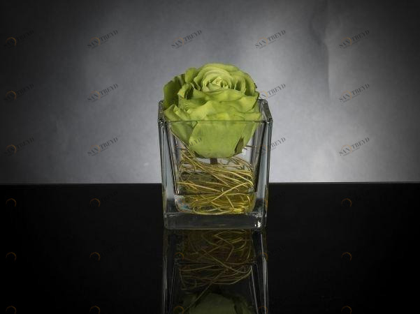 VGnewtrend Искусственное растение  1141712.60 