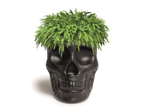 Полиэтиленовый садовый горшок