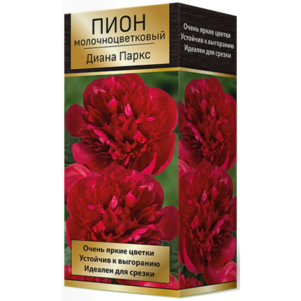 Пион молочноцветковый травянистый Диана Паркс 85205675 STLM-2061438 ПОИСК 