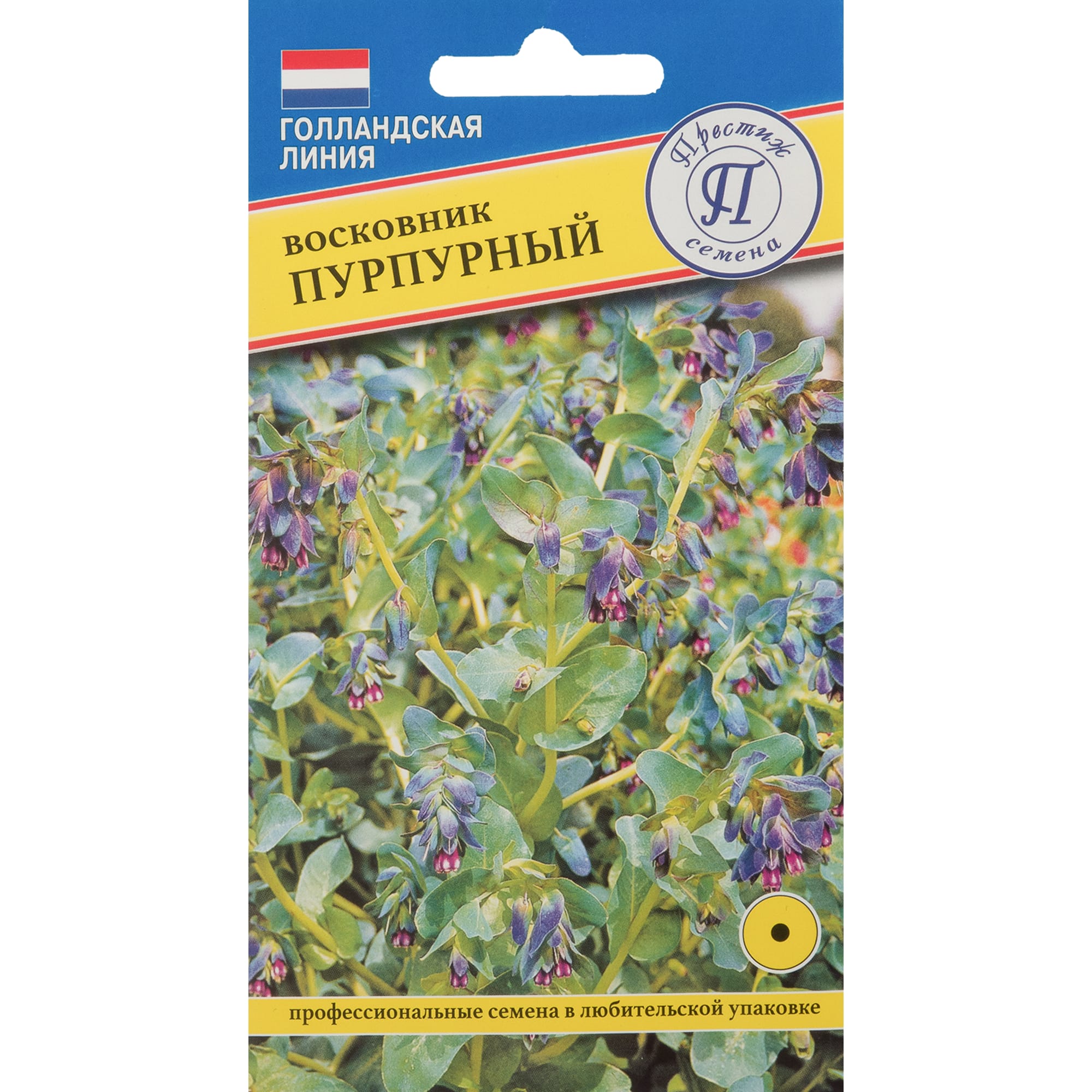 82107687 Восковник пурпурный Santreyd 