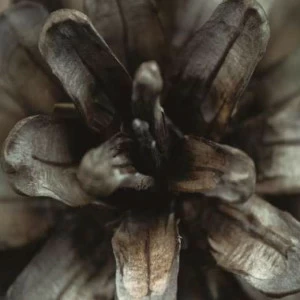 WP01694 Фотообои Verol Фотообои decoline 1х1 м