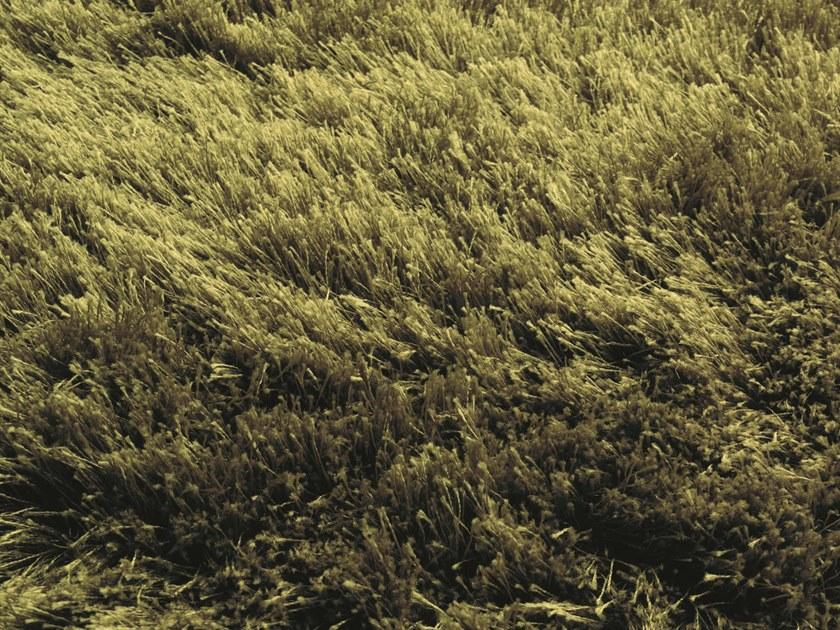 Casalis Коврик с длинным ворсом sun-id-1351705 - Вид №2