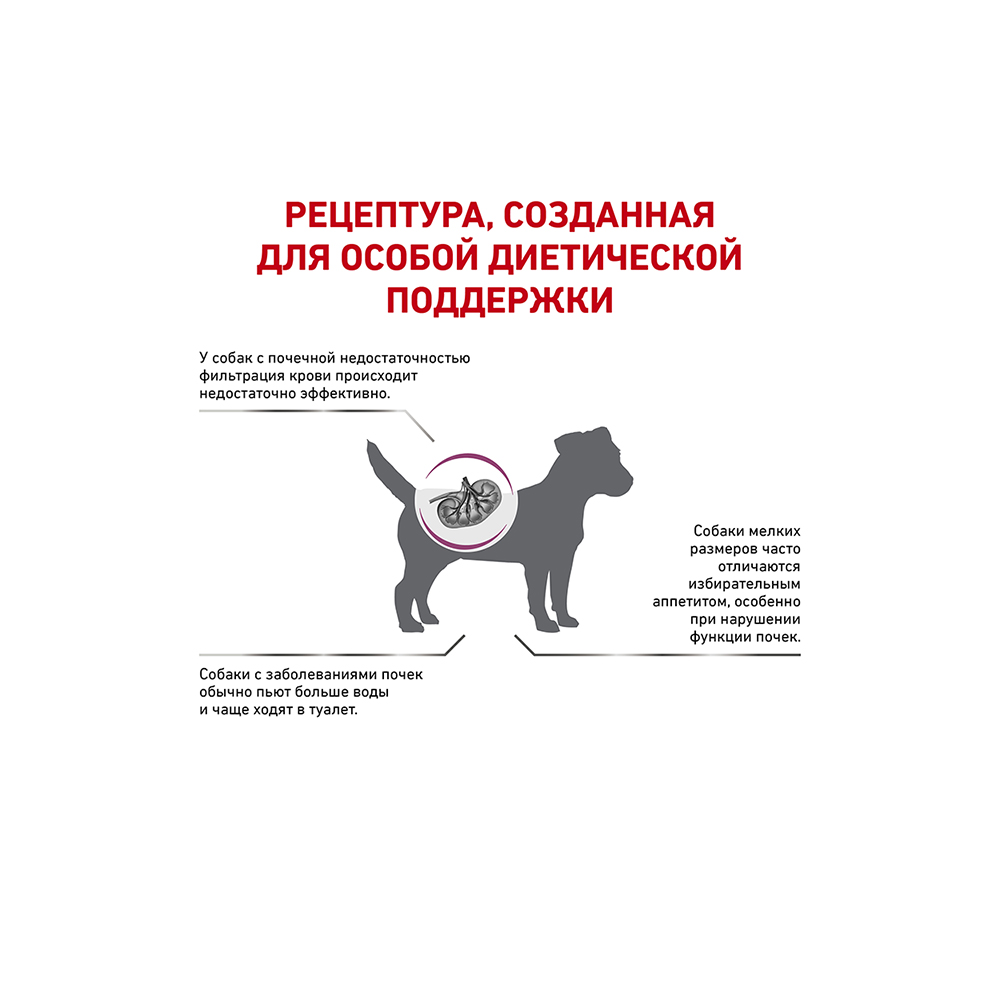 ПР0056152 Корм для собак Vet Diet Renal для мелких пород с хронической болезнью почек сух. 3,5кг ROYAL CANIN  - Вид №1