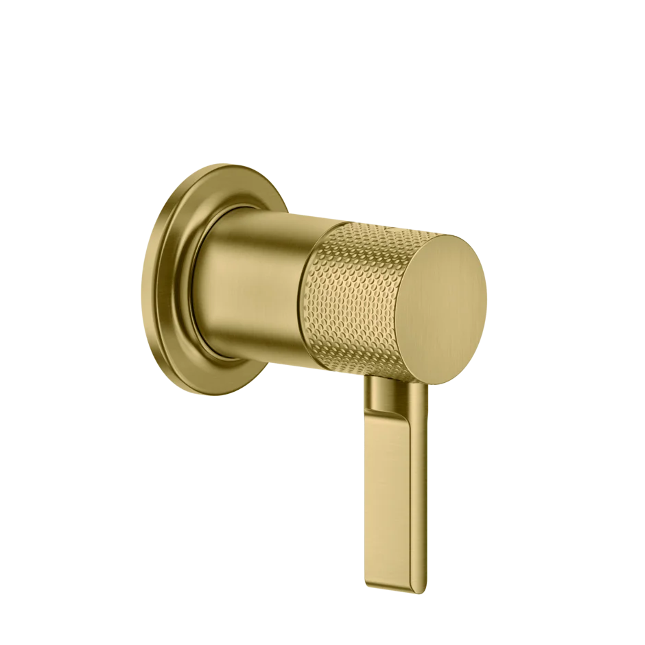 Отдельный контроль 58109 716 Gessi Inciso PVD С ЗОЛОТОЙ ЩЕТКОЙ 58109716