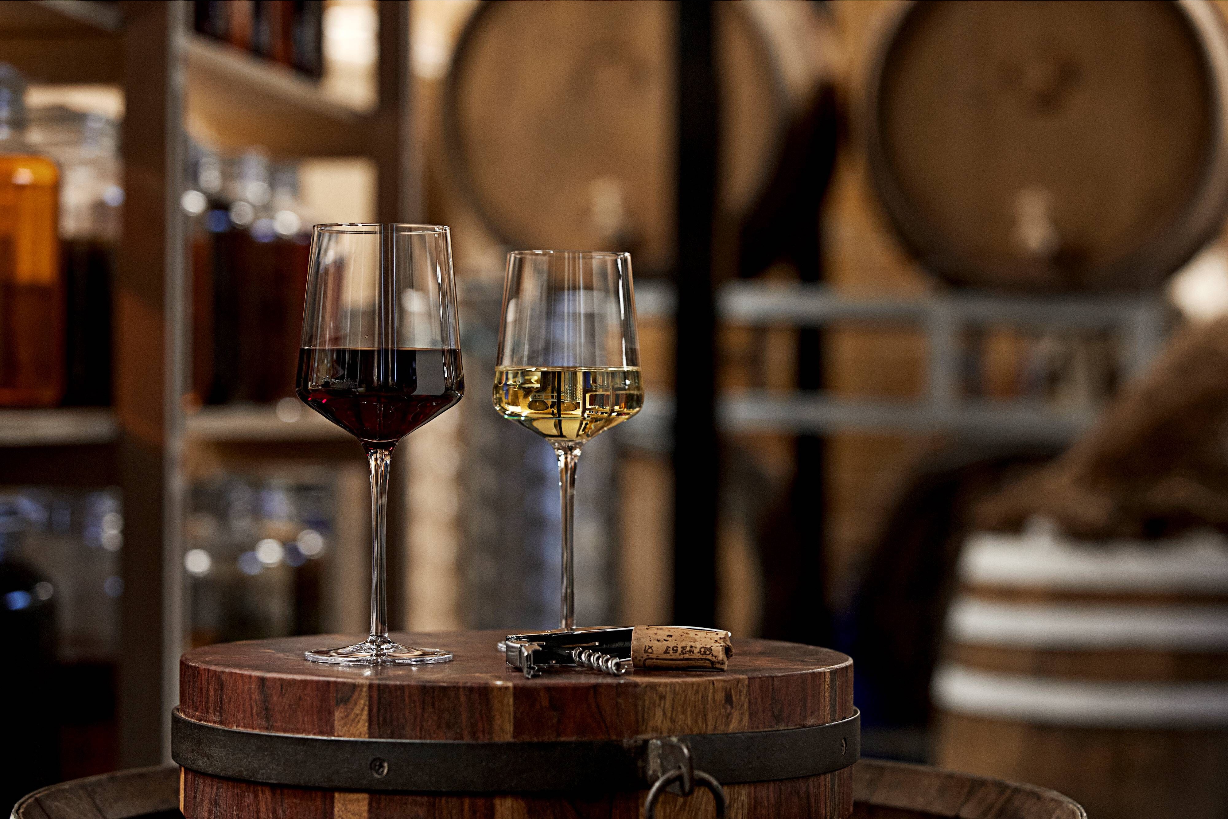 24440 Бокал для белого вина 2 шт. Zone Denmark Rocks - Вид №1