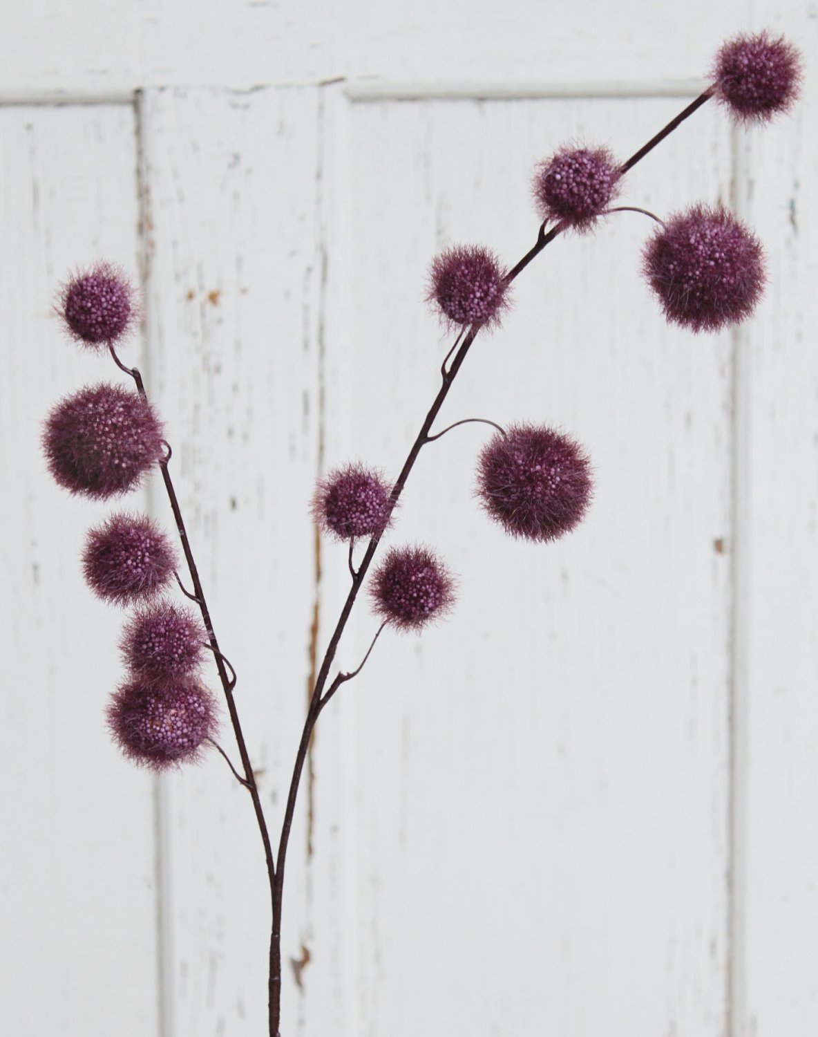 5535 490 a3 Искусственный спрей из плодов гомфокарпуса, 103 см, красно-черный H-andreas  - Вид №2