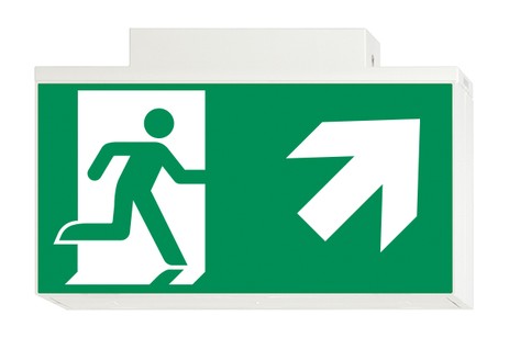 DST-792 Lisu ceiling-mounted Daisalux Светильники аварийные Белый 