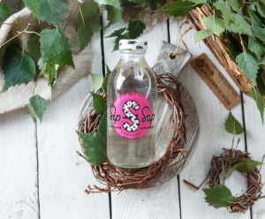 5253 Сок березовый с алоэ Вкусляндия