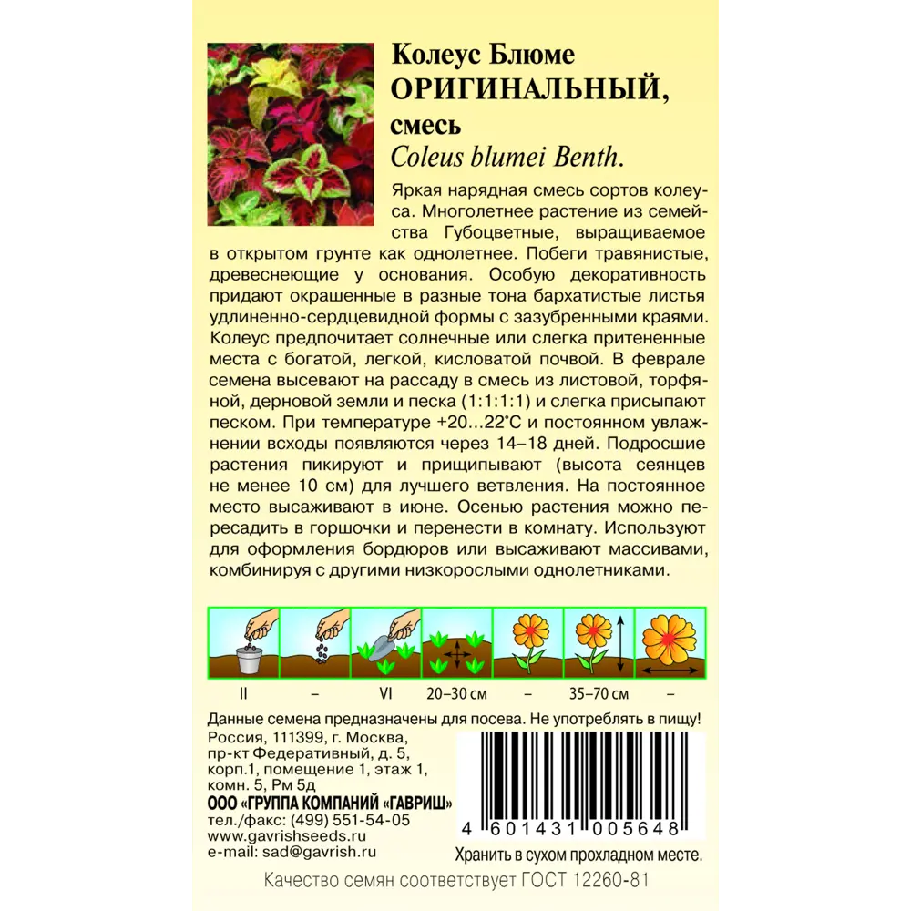 Колеус Оригинальный смесь 0.05 г ГАВРИШ STLM-2022678 - Вид №1