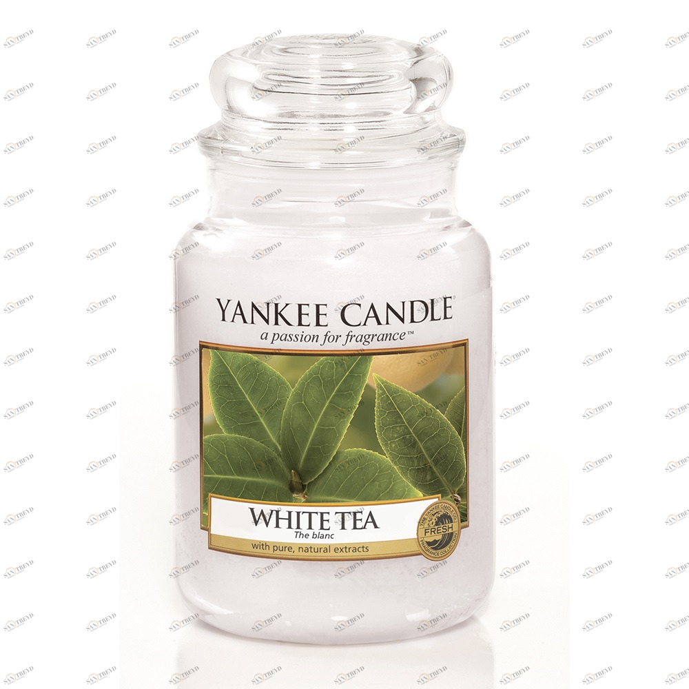 Свеча большая в стеклянной банке "Белый чай" 623 гр 110-150 часов YANKEE CANDLE  267805 Белый 