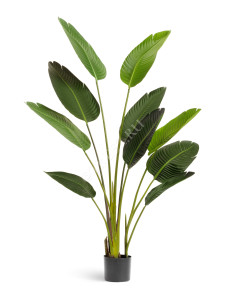 10.071820/5 Стрелиция Style зелёная Цветочная коллекция