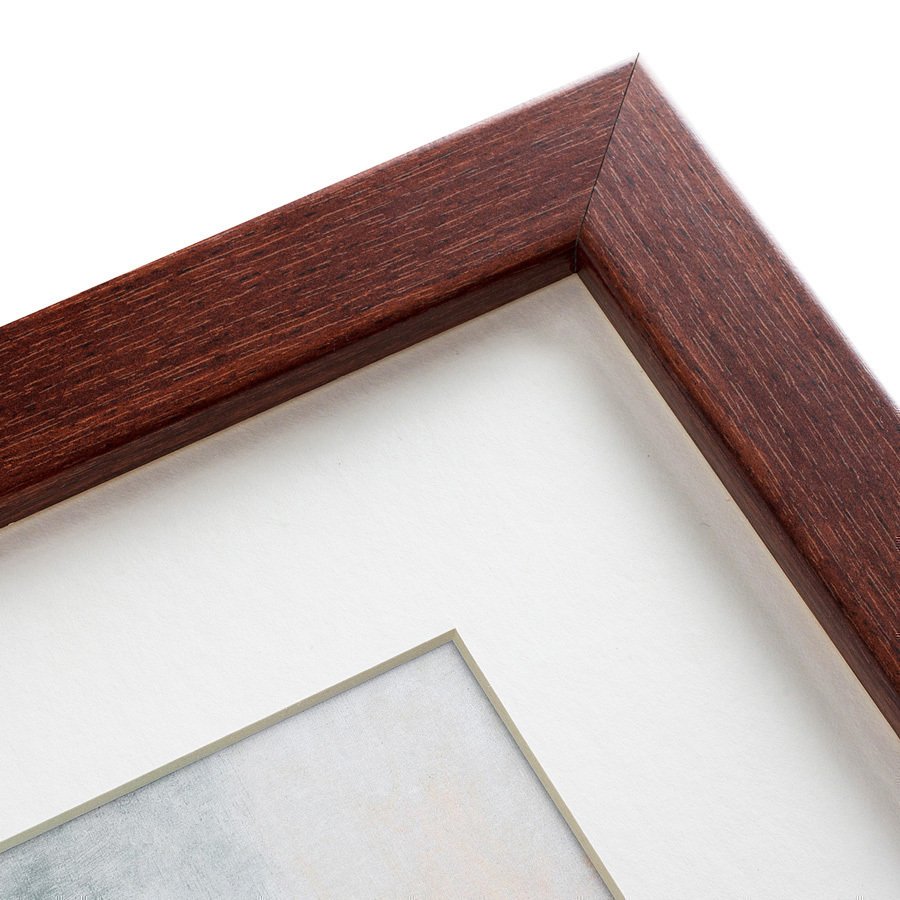 Литография на тонированной бумаге 42х52 см Armadillo, 1860 КАРТИНЫ В КВАРТИРУ  135712 Белый;коричневый;разноцветный  - Вид №2