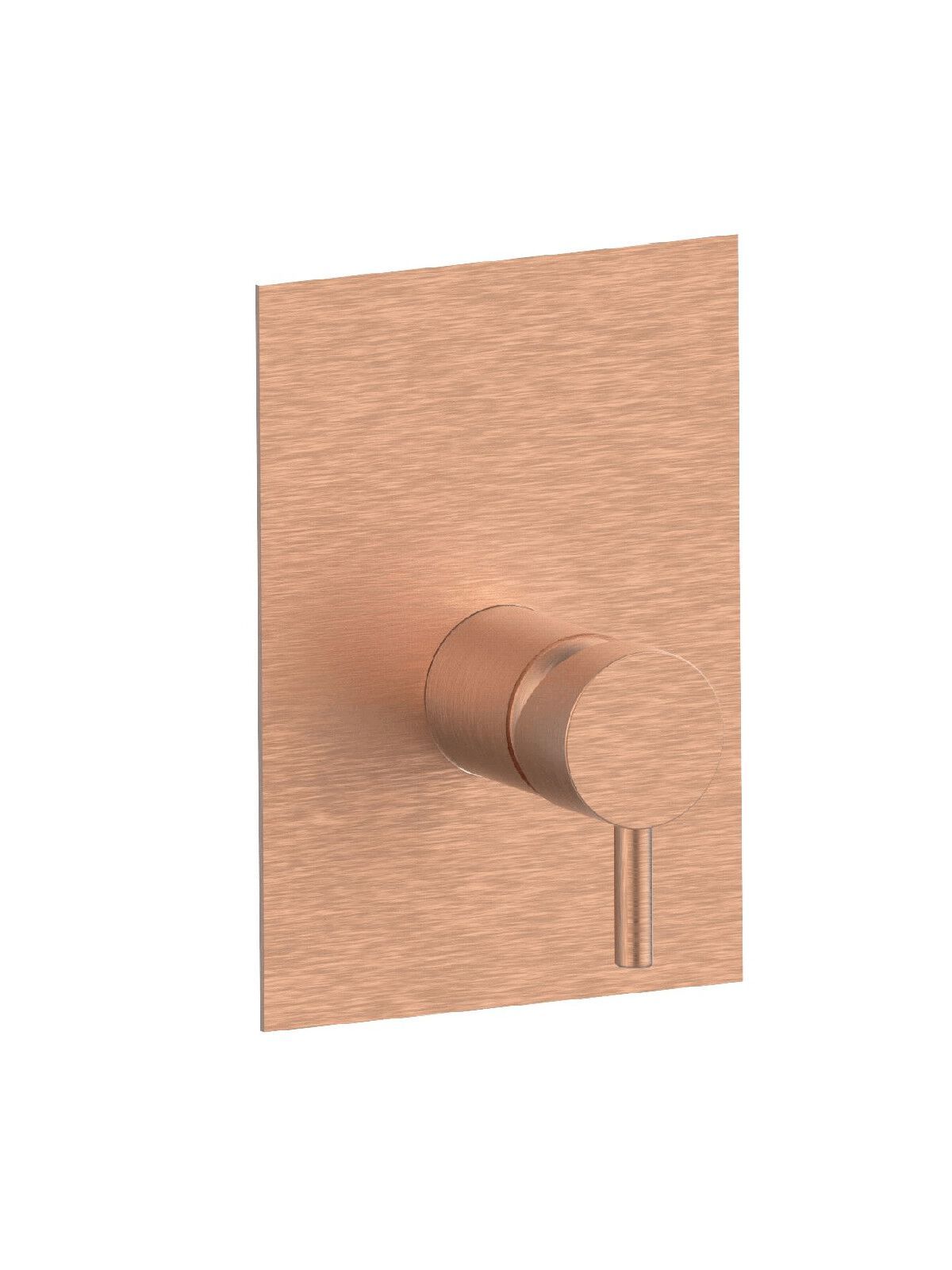 Встраиваемый однорычажный смеситель для душа с пластиной Rubinetterie Frattini Pepe XL ARCH-00136208 - Вид №3