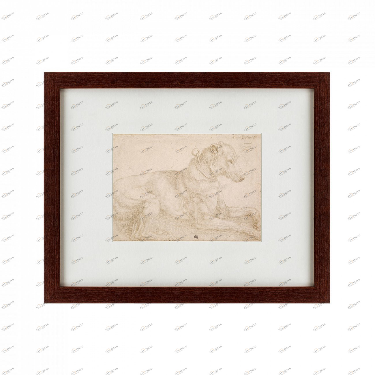 Литография на тонированной бумаге 42х52 см A Dog Resting, 1520 КАРТИНЫ В КВАРТИРУ  135635 Белый;коричневый;разноцветный 