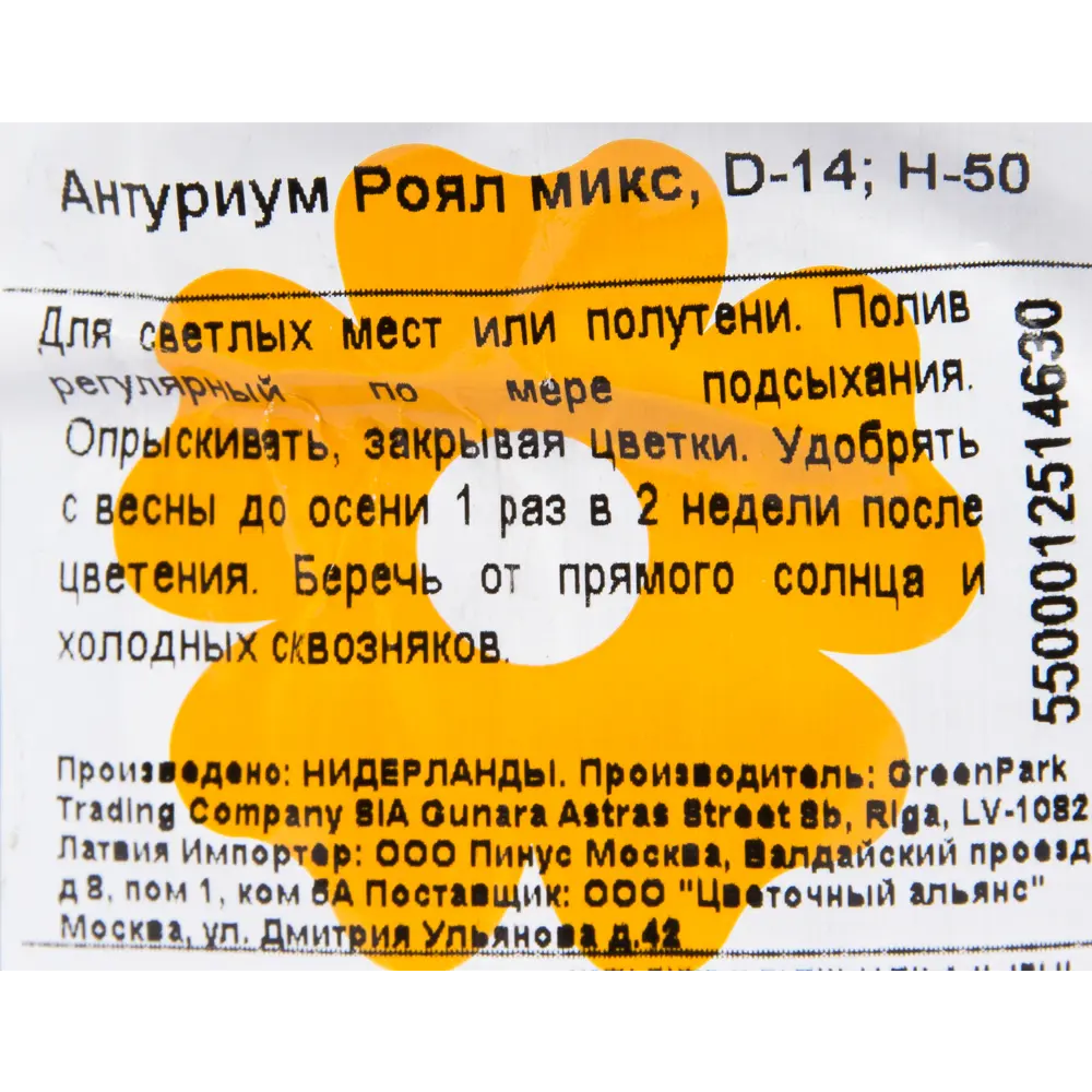 Антуриум Роял микс ø14 h50 см Цветочный альянс 82399763 STLM-2121376 Santreyd  - Вид №2