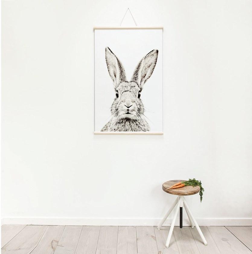 Groovy Magnets Магнитный плакат Animal Pos-62-r - Вид №3