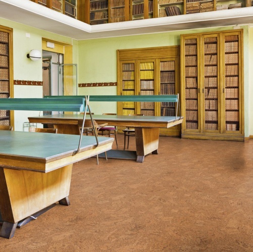 Пробка Wicanders Eco Cork Accent (Гладкая) 600х300 мм DN17002 - Вид №38