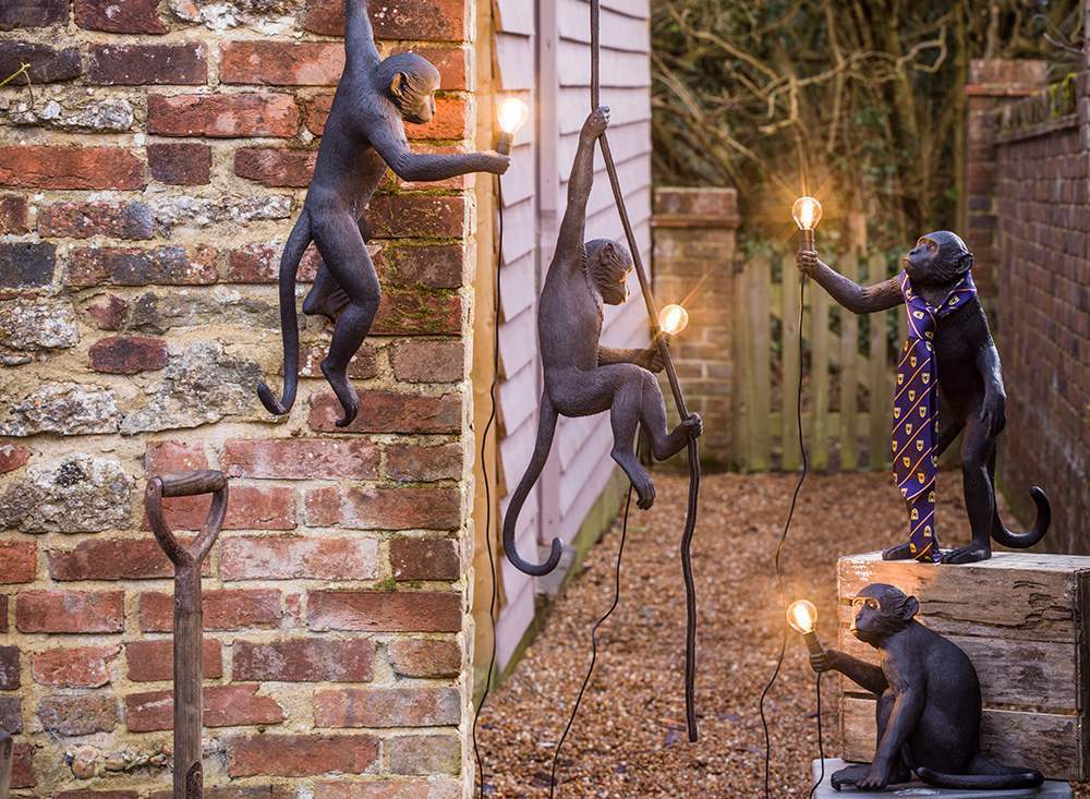 Настольная лампа 14922 от Seletti SELETTI ЖИВОТНЫЕ, СТАТУЭТКА, СТАТУЯ 244939 Черный  - Вид №11