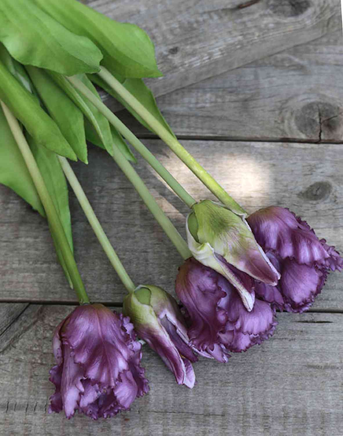 2951 208 a3 Искусственный тюльпан попугай, 5 цветов, 47см, фиолетово-зеленый H-andreas  - Вид №1