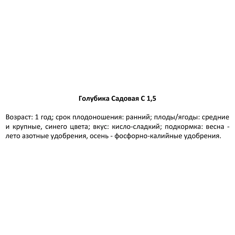 Голубика Эллиот ø15 h15 см 84834896 STLM-2102561 PLANTMARKET  - Вид №2