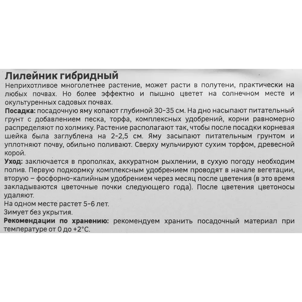 Лилейник Geolia гибридный Лаллебай Бэби 86408699 STLM-2116406  - Вид №3