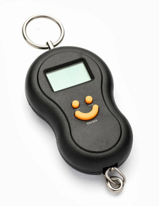 EA8014/02 Весы для багажа Electronic Precision Scale Epic Travel Accessories 2.0