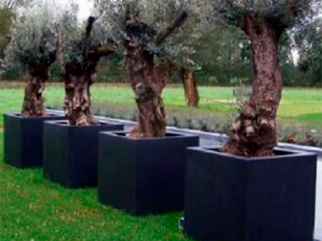 Кашпо коллекции "Ардена" АD-01-43 80/80/60 ГеоПластБорд GPBST-65 - Вид №7