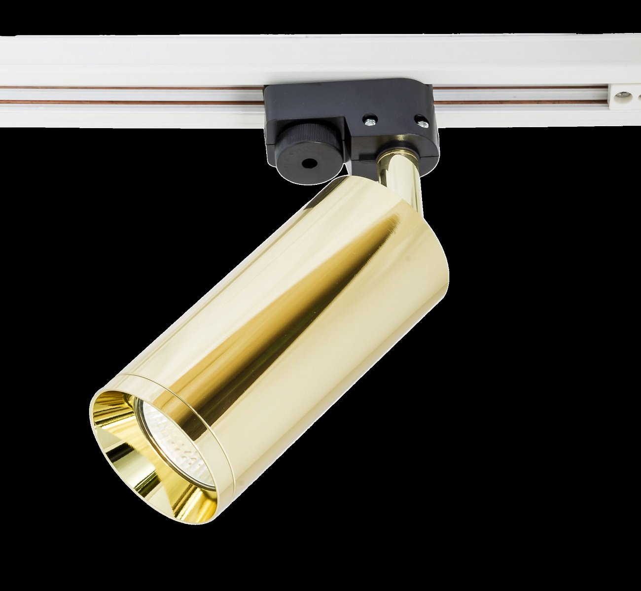 Трековый светильник золотой TR004 TECHNICAL SINGLE PHASE TRACK SYSTEM 00-3956209 Золото  - Вид №2