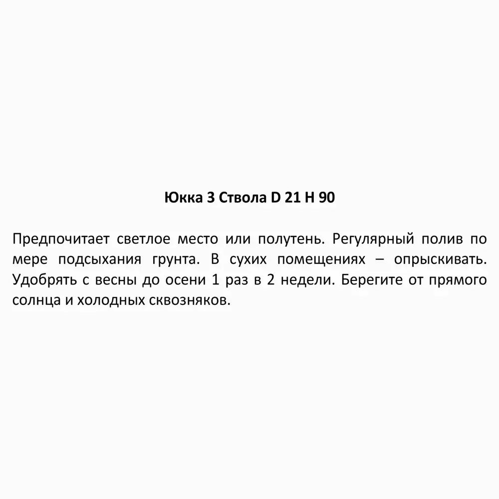 Юкка 3 ствола ø21 h80 см 85394466 STLM-2127852 Santreyd  - Вид №2