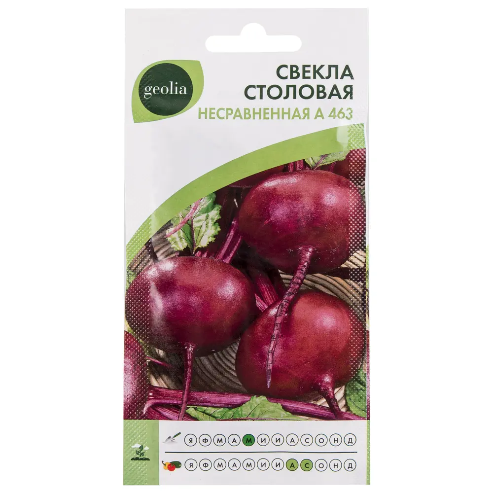 Семена свеклы GEOLIA «Несравненная» — холодостойкий сорт с идеальной лежкостью 17584997 STLM-0008341