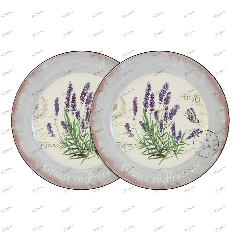 Тарелки фарфоровые обеденные 2 шт бело-лавандовые "Лаванда" ANNA LAFARG LF CERAMICS ЛАВАНДА 00-3946479 Белый;фиолетовый 