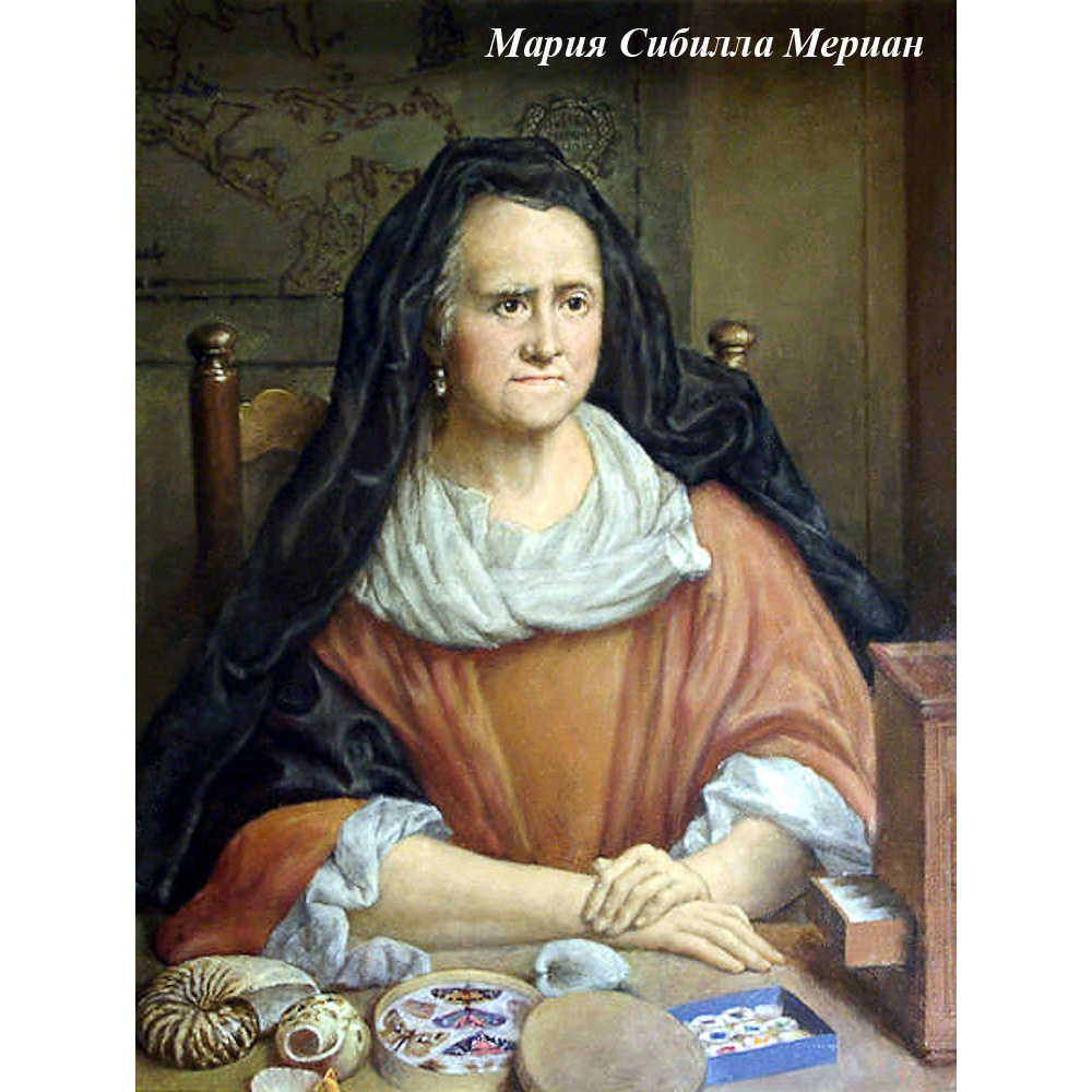 2719186 Интерьерная подушка «Ботаническое барокко», версия 6 Object Desire  - Вид №7