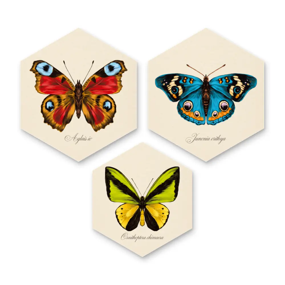 Картина на МДФ Бабочки 45x52 см 3 шт POSTERMARKET STLM-2185751