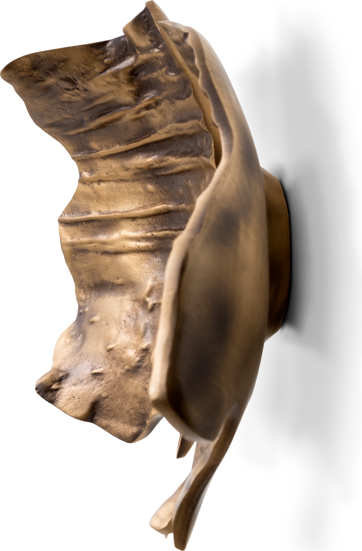 EA1053 PullCast Дверные тяги LEAF Полированная латунь  - Вид №2