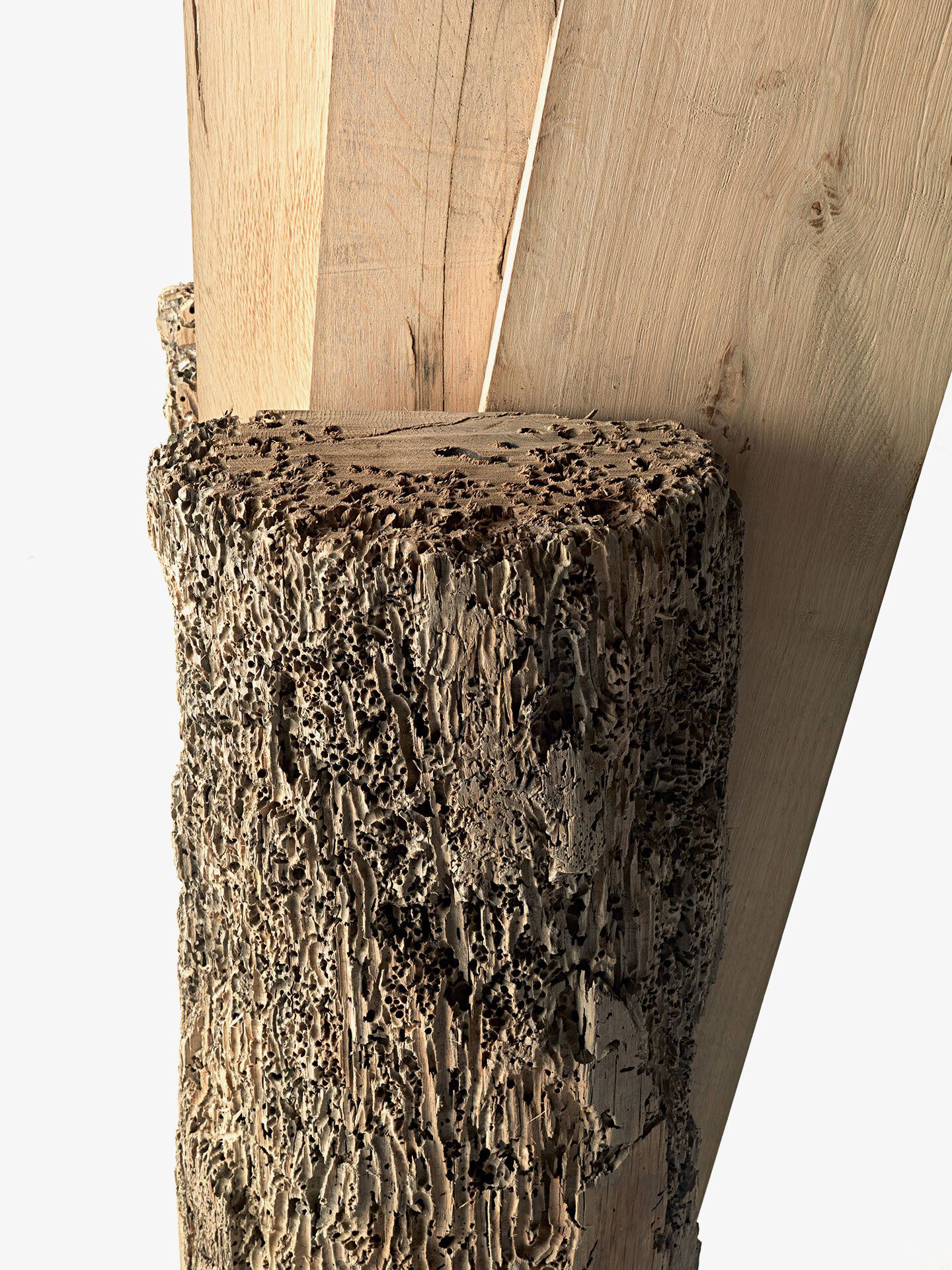 Резьба по дереву briccola Riva 1920 STENDARDO ARCH-00128166 - Вид №3