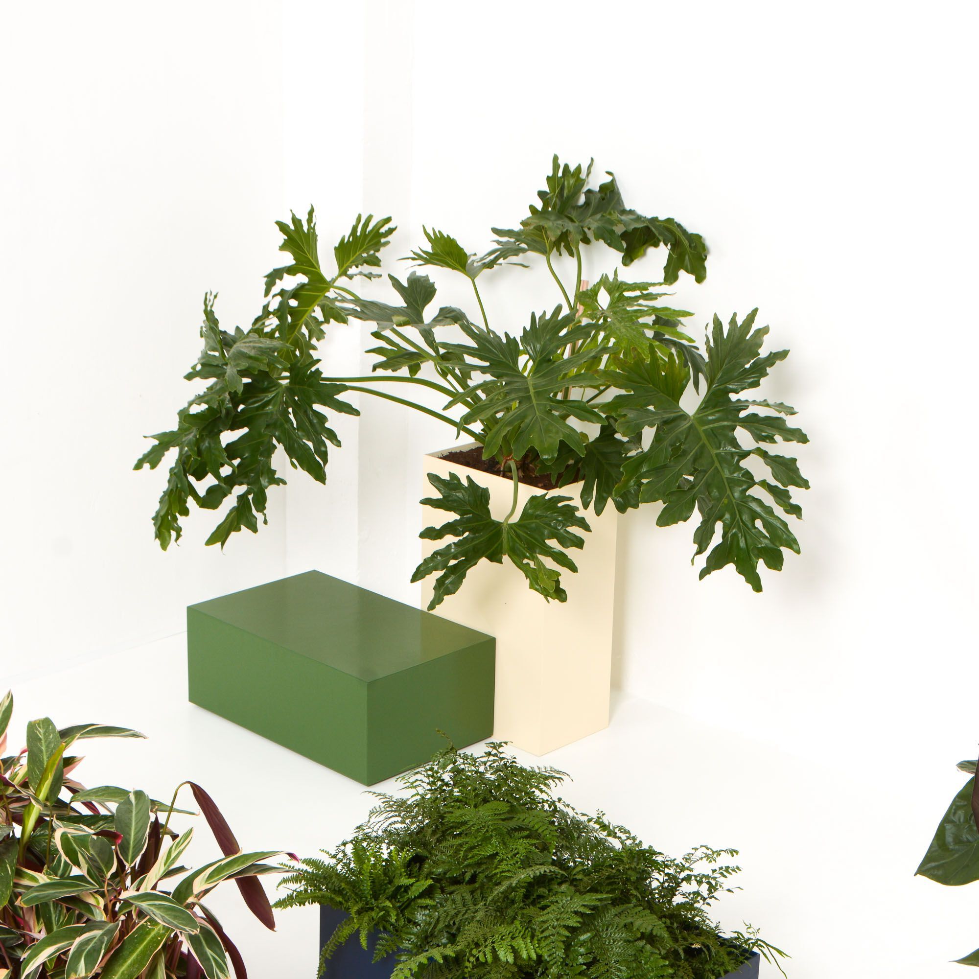 Прямоугольная алюминиевая плантатор с порошковым покрытием SIXINCH PLANTER ARCH-00109030 - Вид №3