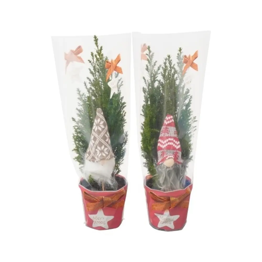 Кипарисовик Элвуди новоголний с гномом ø9 h35 см 85883082 STLM-2138998 Santreyd 