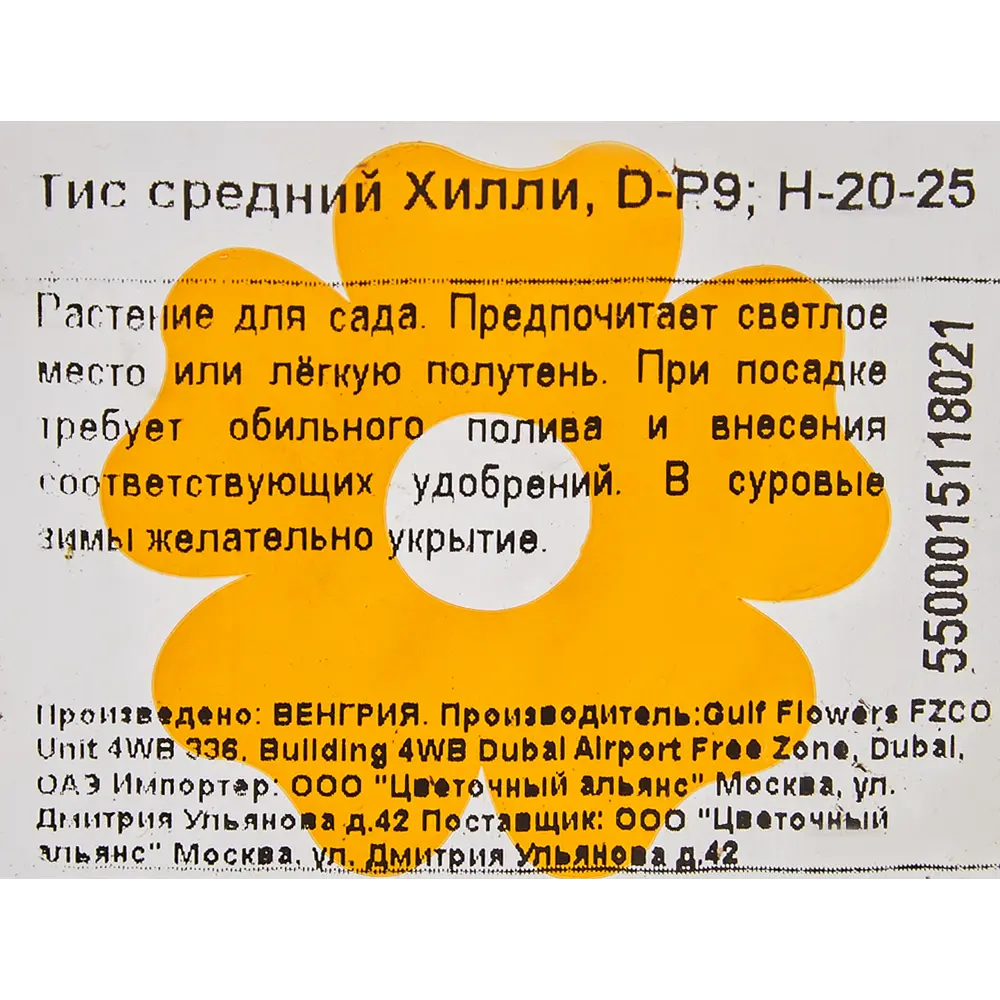 Тис средний «Хилли» 9x20 см 82601681 STLM-2018731 Santreyd  - Вид №1