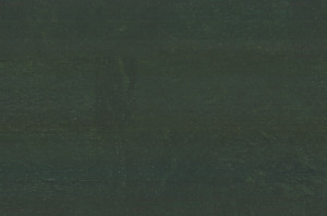 216 111 612 Окрашенный пробковый пол Forest GRANORTE Recolour