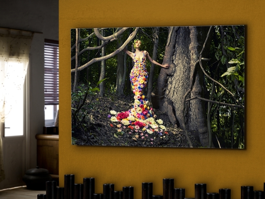 062972 Фотография Schuller Eden