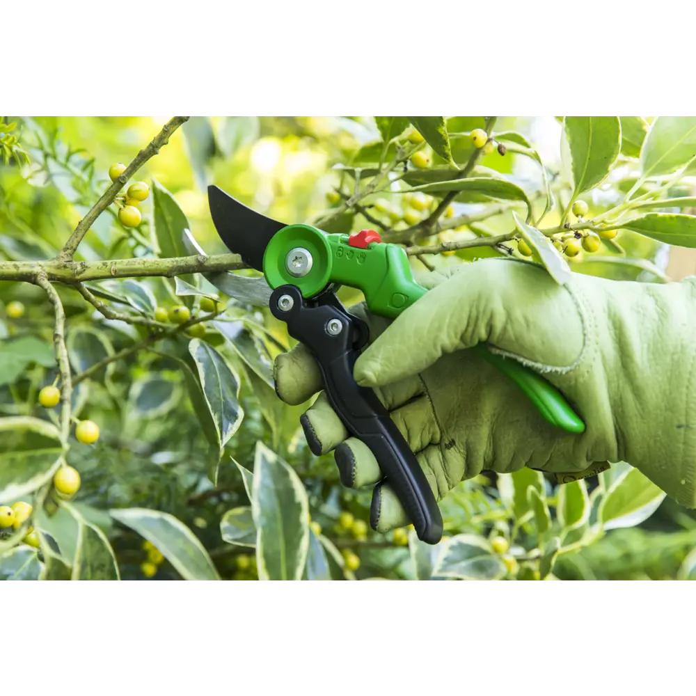 Секатор Geolia с силовым приводом для эффективной обрезки ветвей 81966051 STLM-0015858 - Вид №7