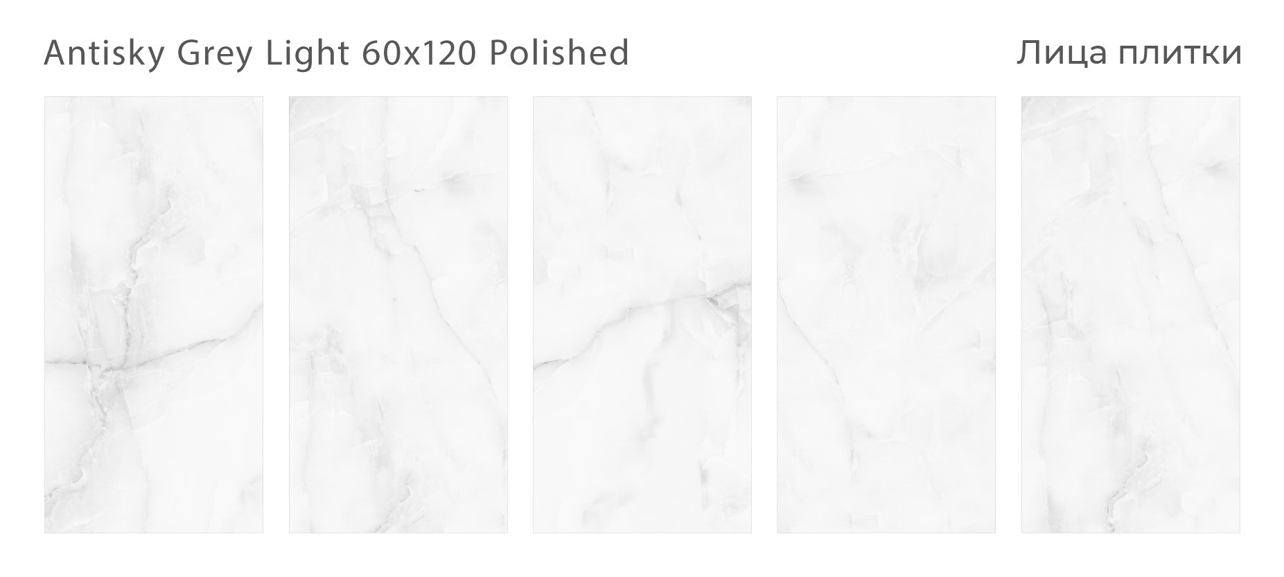 Элегантный керамогранит Palacio – воплощение роскоши STP-ST513 INCOLOR - Вид №2