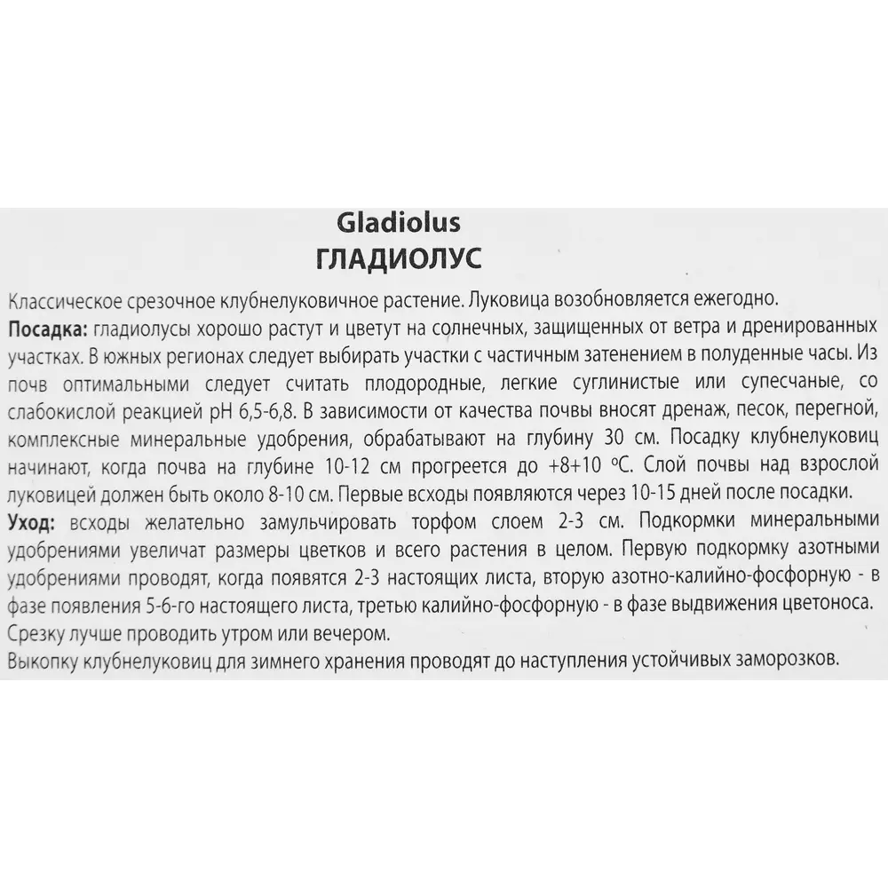 Гладиолус крупноцветковый Афтершок, 3 шт. 89351780 STLM-2064708 ПОИСК  - Вид №2