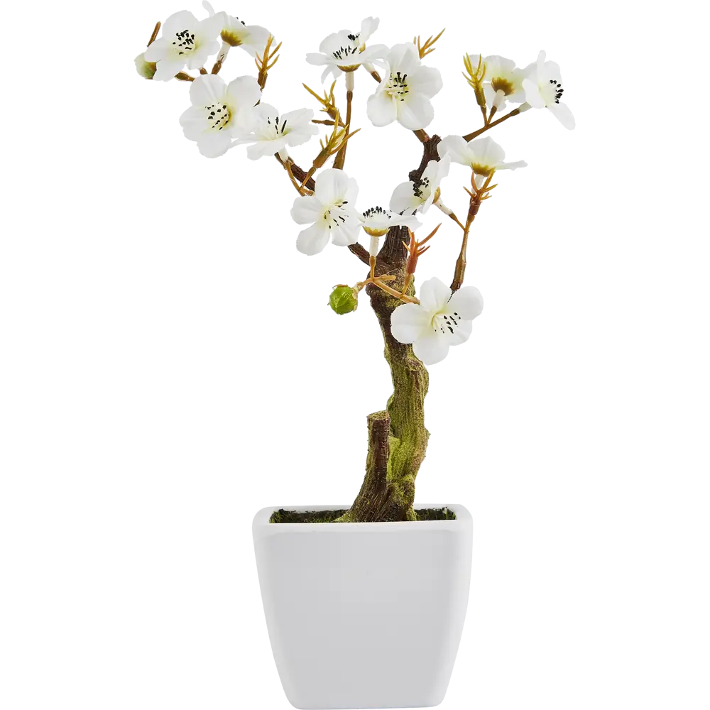 Декоративное растение Atmosphera Вишня 18x18x26 см 87890830 STLM-2002969  - Вид №2