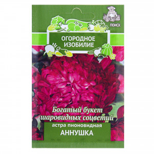 18358764 Астра пионовидная «Аннушка»
