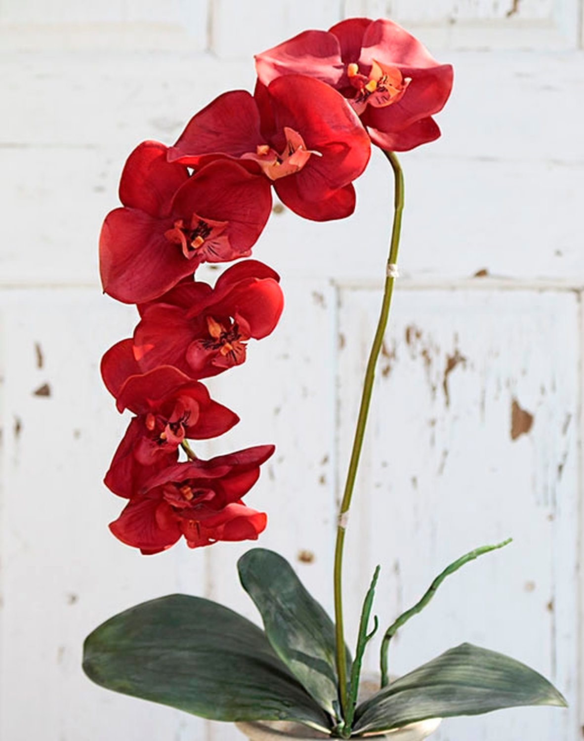 2526 344 a2 Искусственная орхидея Phalaenopsis, 73 см, real touch, темно-оранжевый H-andreas 